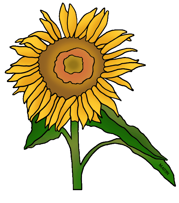 570x648 United States Clip Art By Phillip Martin, State Flower Of Kansas