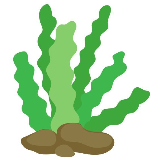 542x573 Kelp Clip Art Black And White