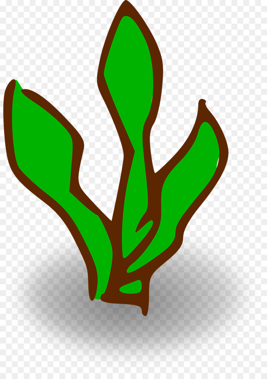900x1280 Kelp Forest Giant Kelp Clip Art