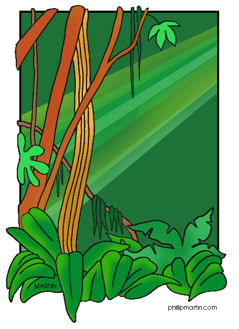470x648 Rain Forest Clip Art Drawings