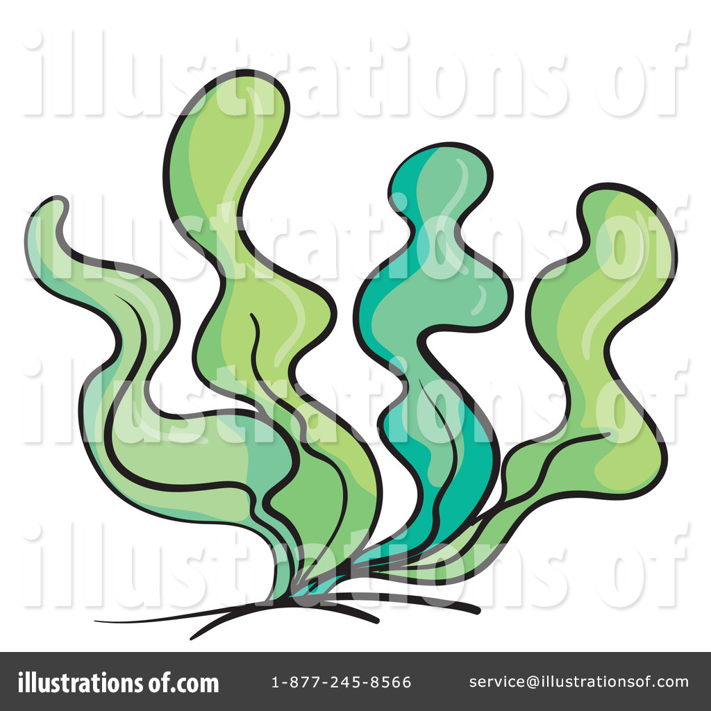 1024x1024 Seaweed Clipart Clip Art