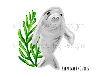 340x270 Seaweed Clip Art Etsy