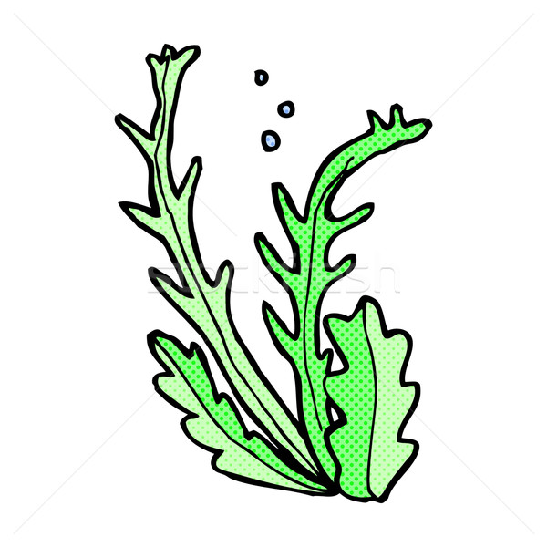 600x600 Seaweed Clipart Vector