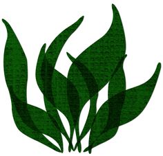 236x227 Vector Clip Art Of Cartoon Seaweed Csp19692416