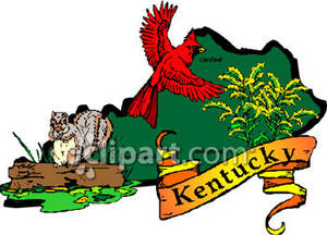 300x216 State Bird, Flower, And Animal Of Kentucky