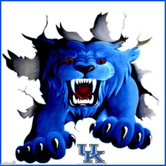 Kentucky Wildcats Clipart at GetDrawings.com | Free for ...