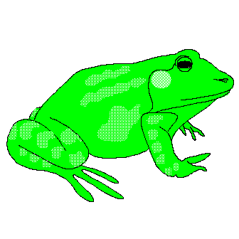 336x336 Froggy Clip Art (Color) Page 1