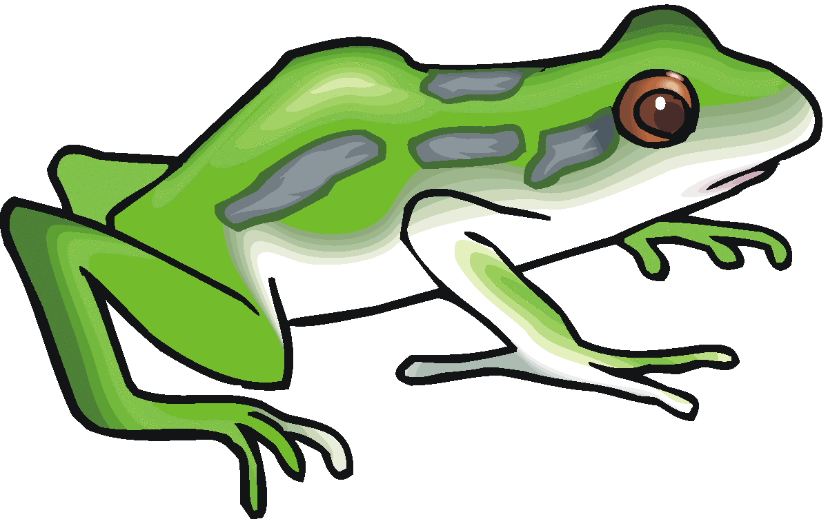1200x753 Frog Clip Art Images Free Clipart Images Clipartcow
