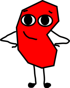 240x300 Cute Kidney Clip Art Clipart Panda