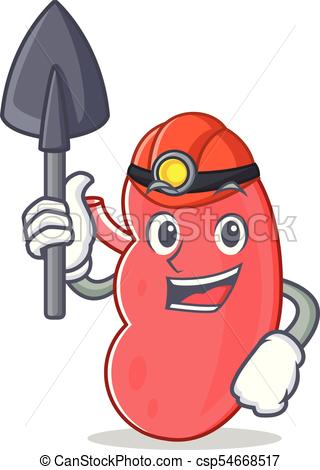 320x470 Miner Kidney Mascot Cartoon Style Vector Illustration Vector Clip