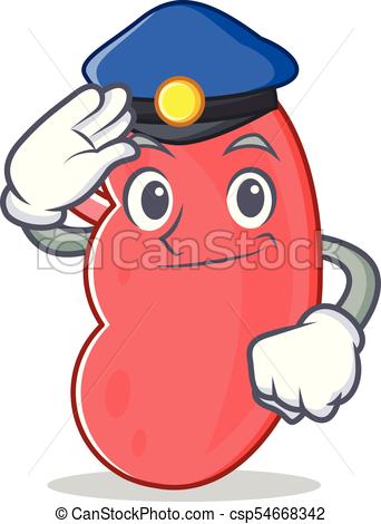 342x470 Police Kidney Character Cartoon Style Vector Illustration Eps