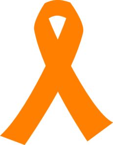 231x297 Understand The Anatomy Of The Spinal Cord Leukemia Awareness