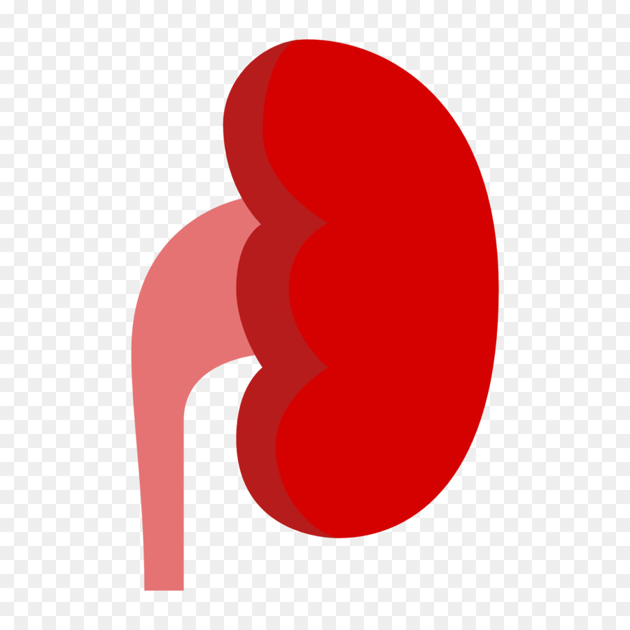 900x900 Chronic Kidney Disease Computer Icons Organ Clip Art
