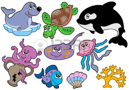 450x315 Killer Whale Clipart
