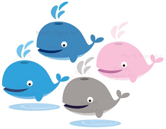 570x444 Killer Whale Clipart Teacher