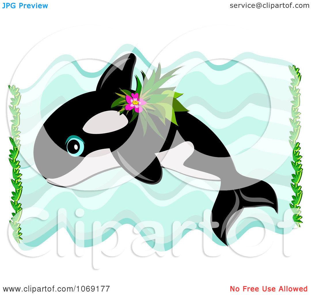 1080x1024 Clip Art Orca Whale Clip Art