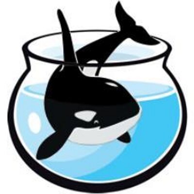 400x400 Orca On Twitter Whales And Dolphins They Are