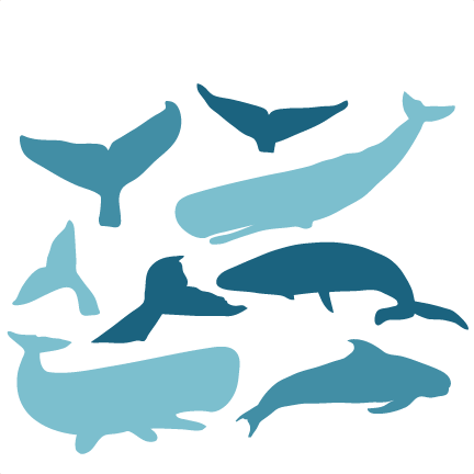 432x432 Whale Silhouette Clip Art 101 Clip Art