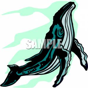 299x300 A Humpback Whale Clip Art Clipart Panda