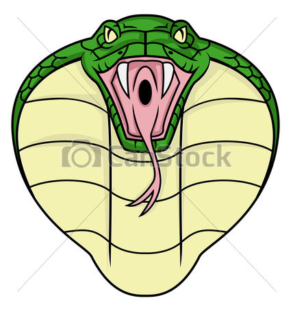 428x470 Cobra Eps Vector