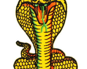 340x270 Cobra Snake Etsy