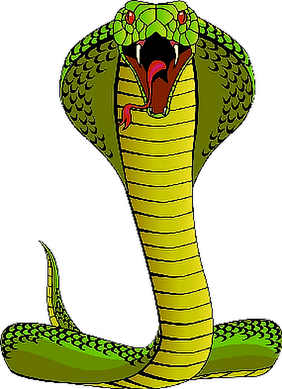 570x786 Ftestickers Cobra Snake Serpent King Cobra Kingcobra