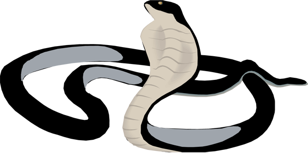 600x299 Black Mamba Clipart Colored