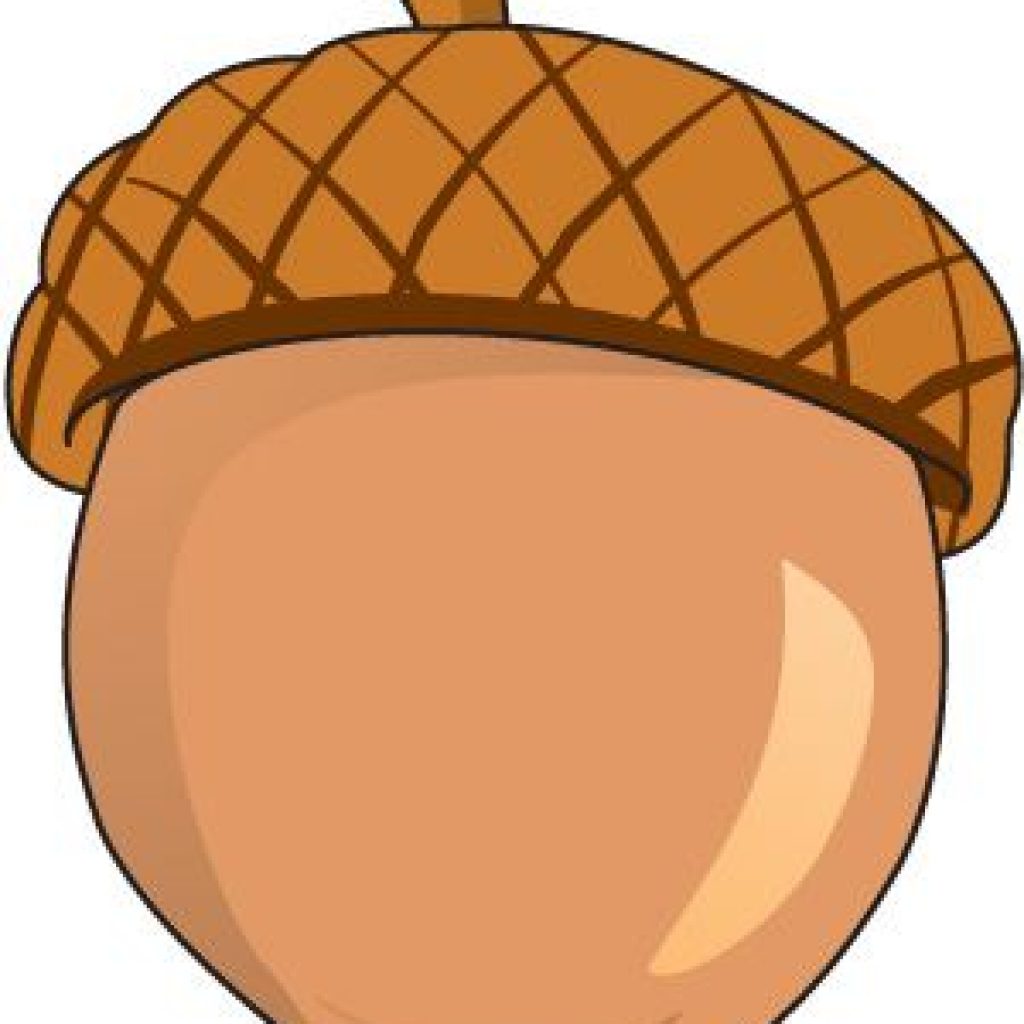1024x1024 Acorn Clipart Monkey Clipart