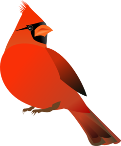 249x299 Free Clipart Cardinal Bird