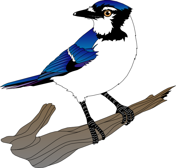 600x573 Bird Clip Art