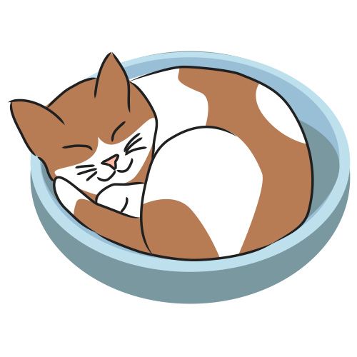 500x500 Sleeping Kitty Clip Art Crazy Cat Lady Clip Art