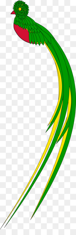 260x800 Kiwi Bird Png And Psd Free Download