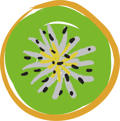 402x404 Kiwi Slice Clip Art