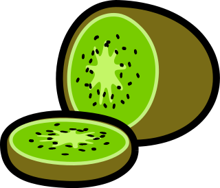 320x274 Free Kiwi Fruit Clipart, 1 Page Of Public Domain Clip Art