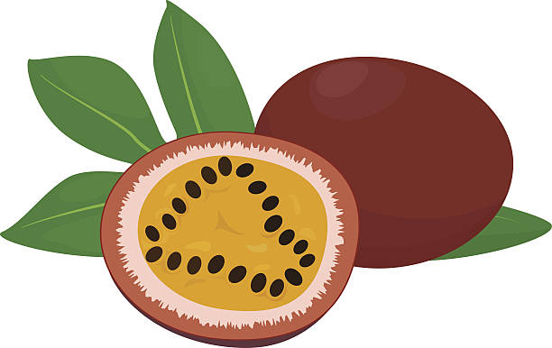 612x386 Passion Fruit Clipart 8 Nice Clip Art