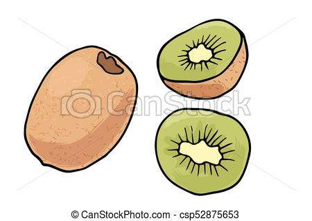 450x319 Vector Illustration Of Juicy Isolated Outline Colorful Fruit