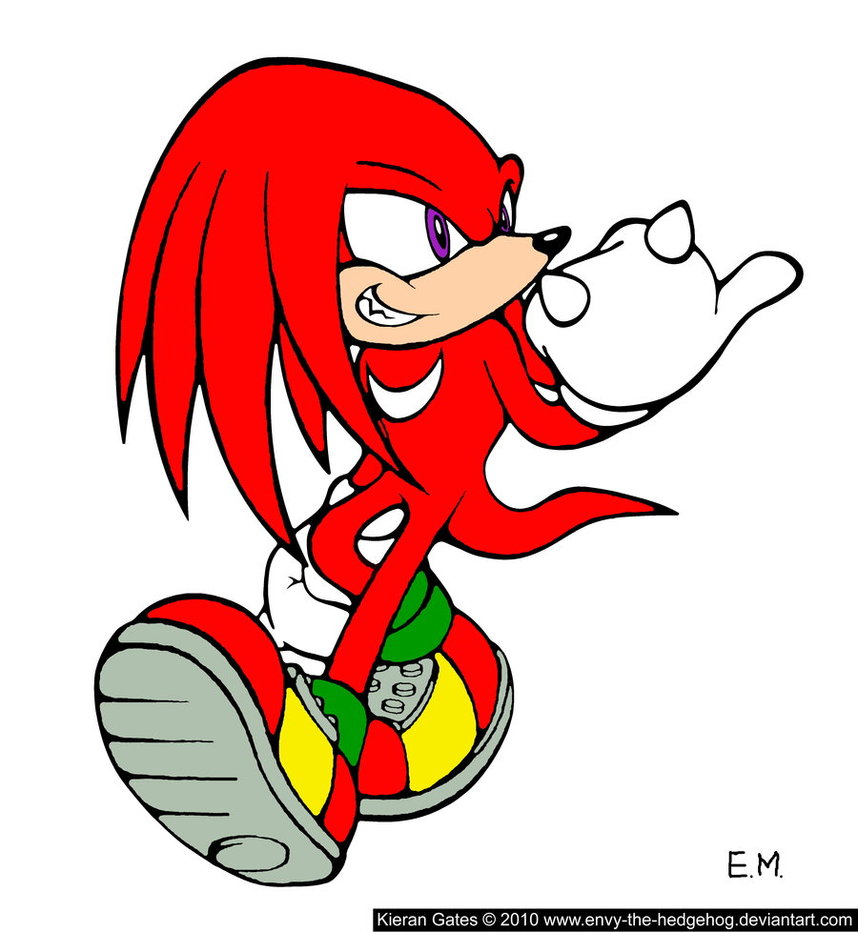 858x932 Knuckles The Echidna By Gallerica