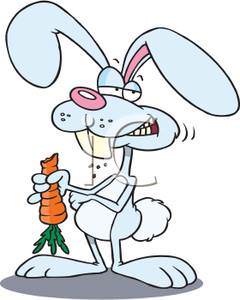 240x300 Bunny Eating Carrot Clipart