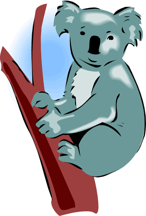 507x750 Koala Bear Clipart
