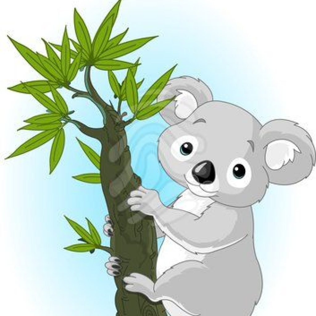 1024x1024 Koala Clipart Star Clipart