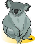136x170 Search Results For Koala Clipart