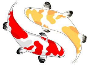 300x219 Gwinnett County Public Library Watercolor Koi Fish Art, Ages