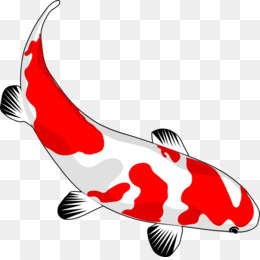 260x260 Koi Goldfish Clip Art