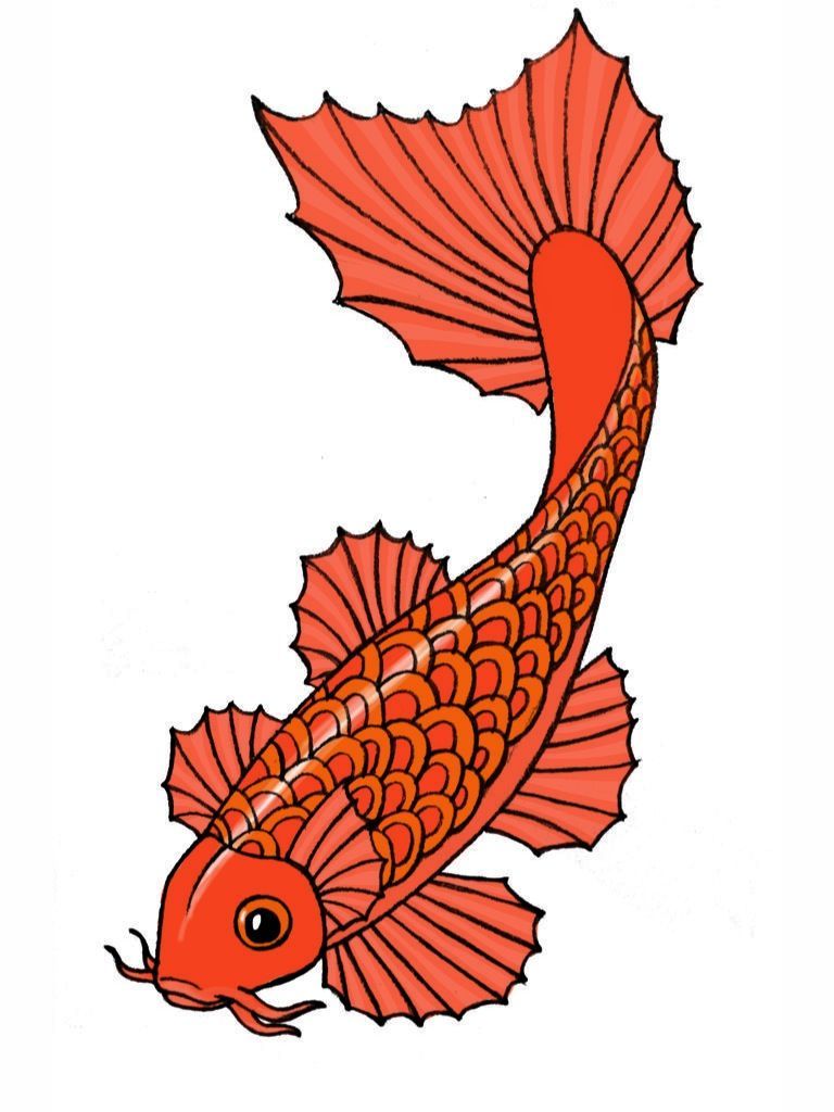 768x1024 Cartoon Koi Fish Free Download Clip Art