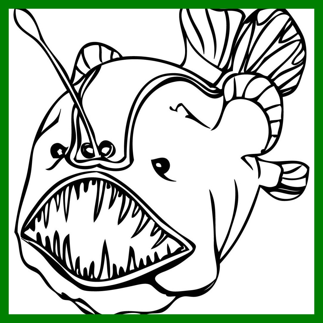 1082x1082 Stunning Koi Fish Coloring Page Clip Art Pics For Swordfish Ideas