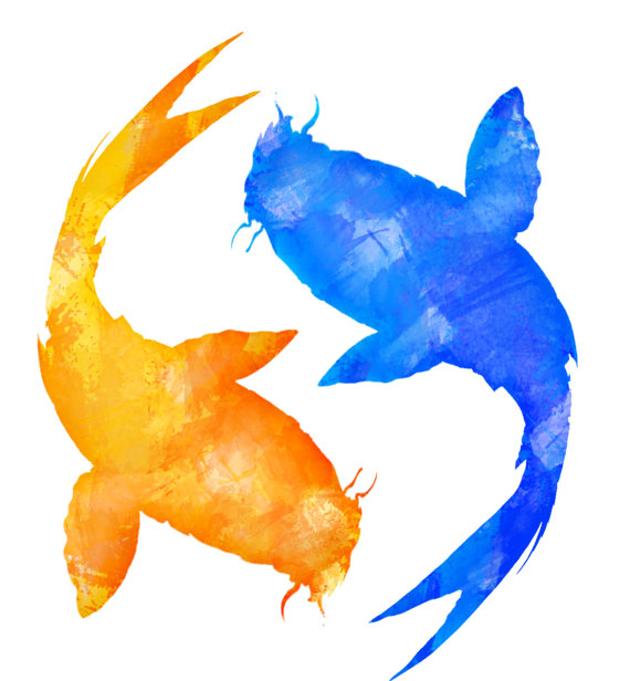 570x616 Commercial Usestant Download Orange Blue Koi Fish Clipart