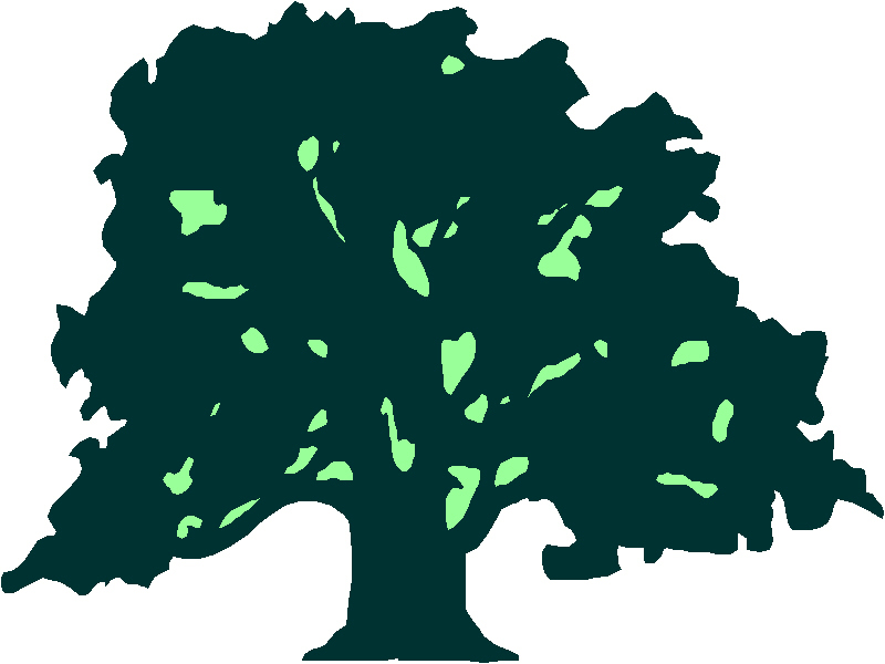 800x600 Willow Tree Clipart Gallery Images)