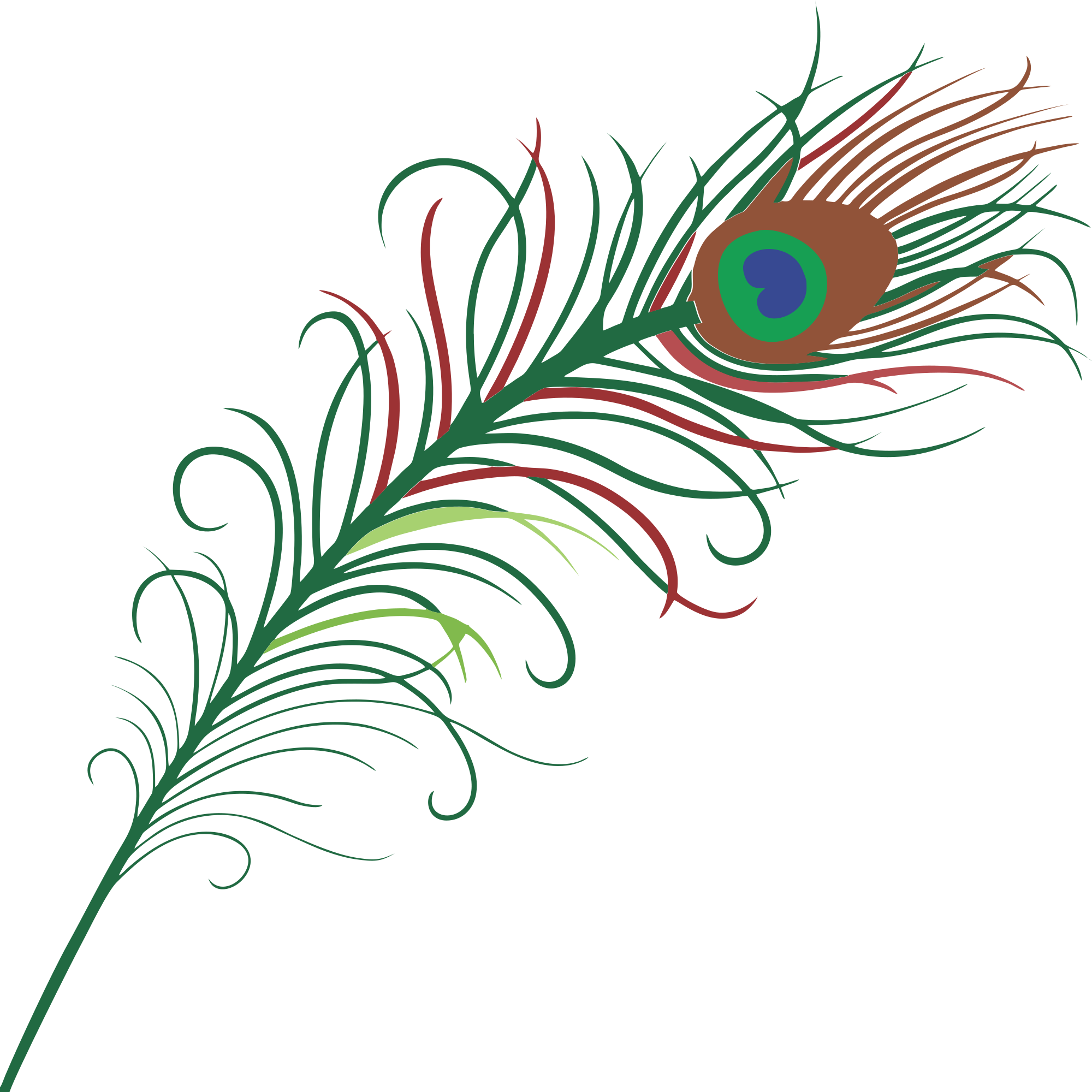 2000x2000 Peacock Feather Border Clipart Free Images Clipartix
