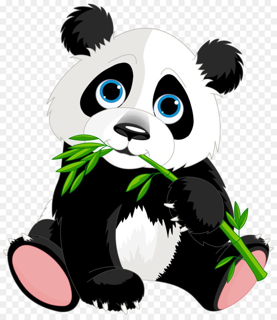 900x1040 Giant Panda Red Panda Bear Clip Art