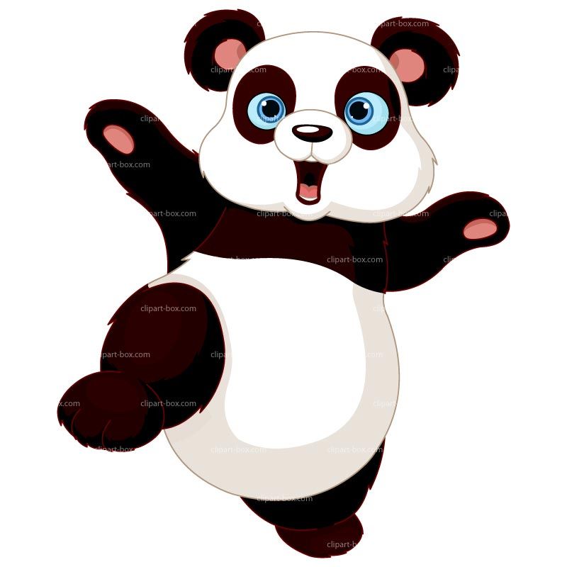 800x800 Pin By Nadine On Pandas Panda